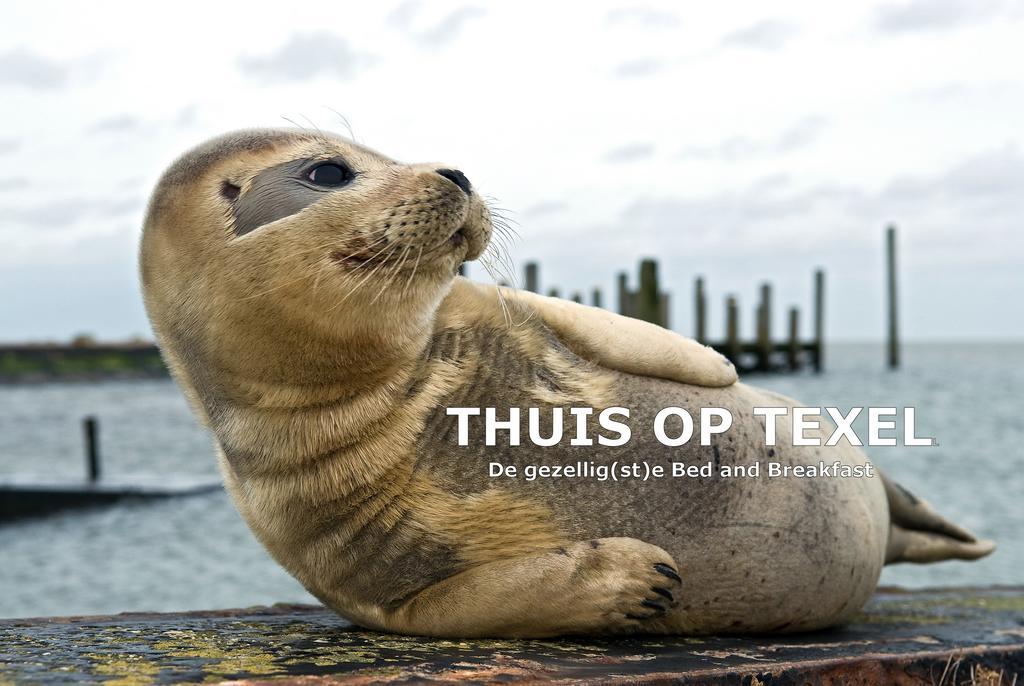 Thuis Op Texel Den Burg Exteriér fotografie
